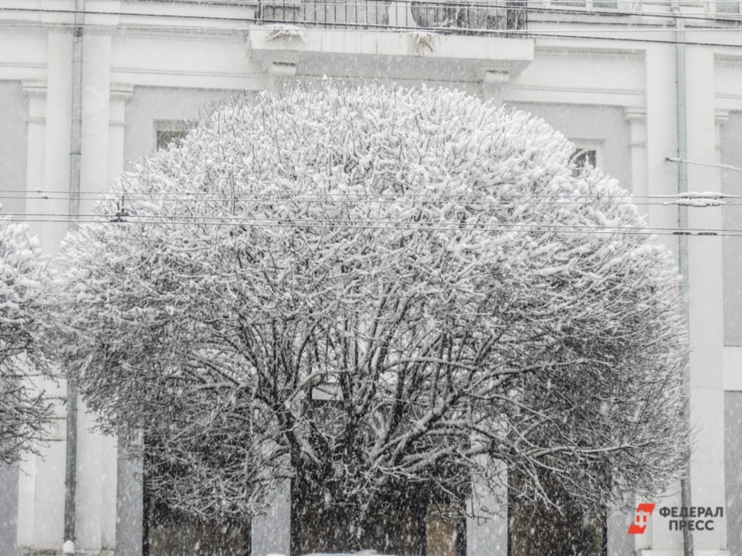 Осадки будут наблюдаться в разных районах края.  Фото: Фото: ФедералПресс / Ксения Медведева