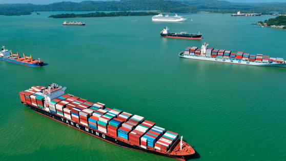    Панама не будет продлевать участие в китайском проекте "Один пояс – один путь" Егор Гордеев