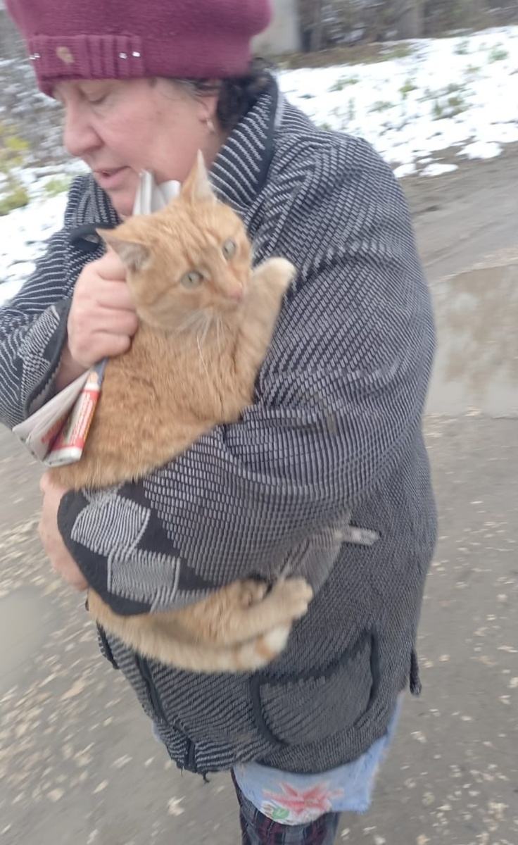 Эвакуация Макса. Женщина местная на улице его поймала