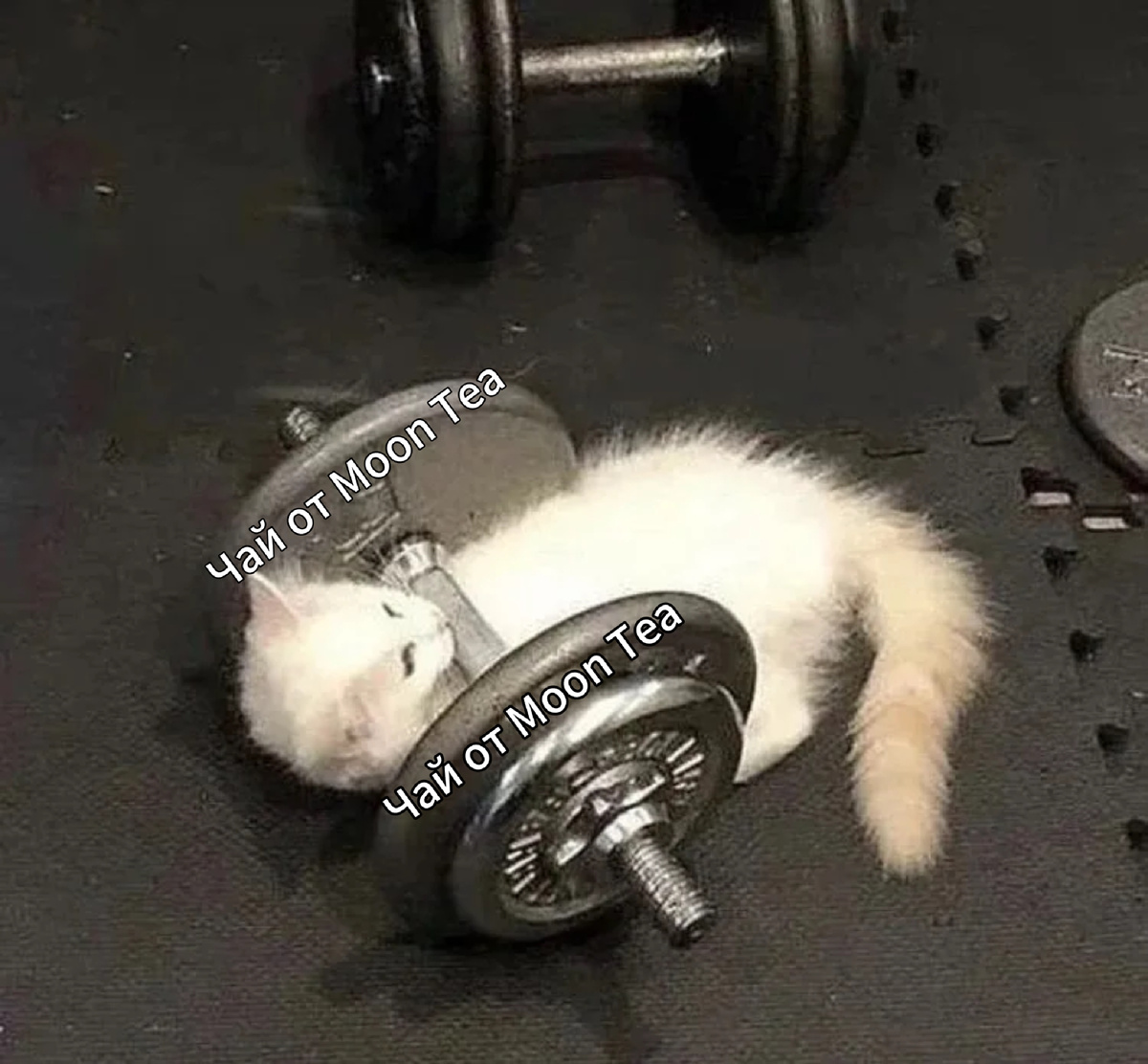 Заказать чай или чайную церемонию можно по ссылке в профиле.🐉