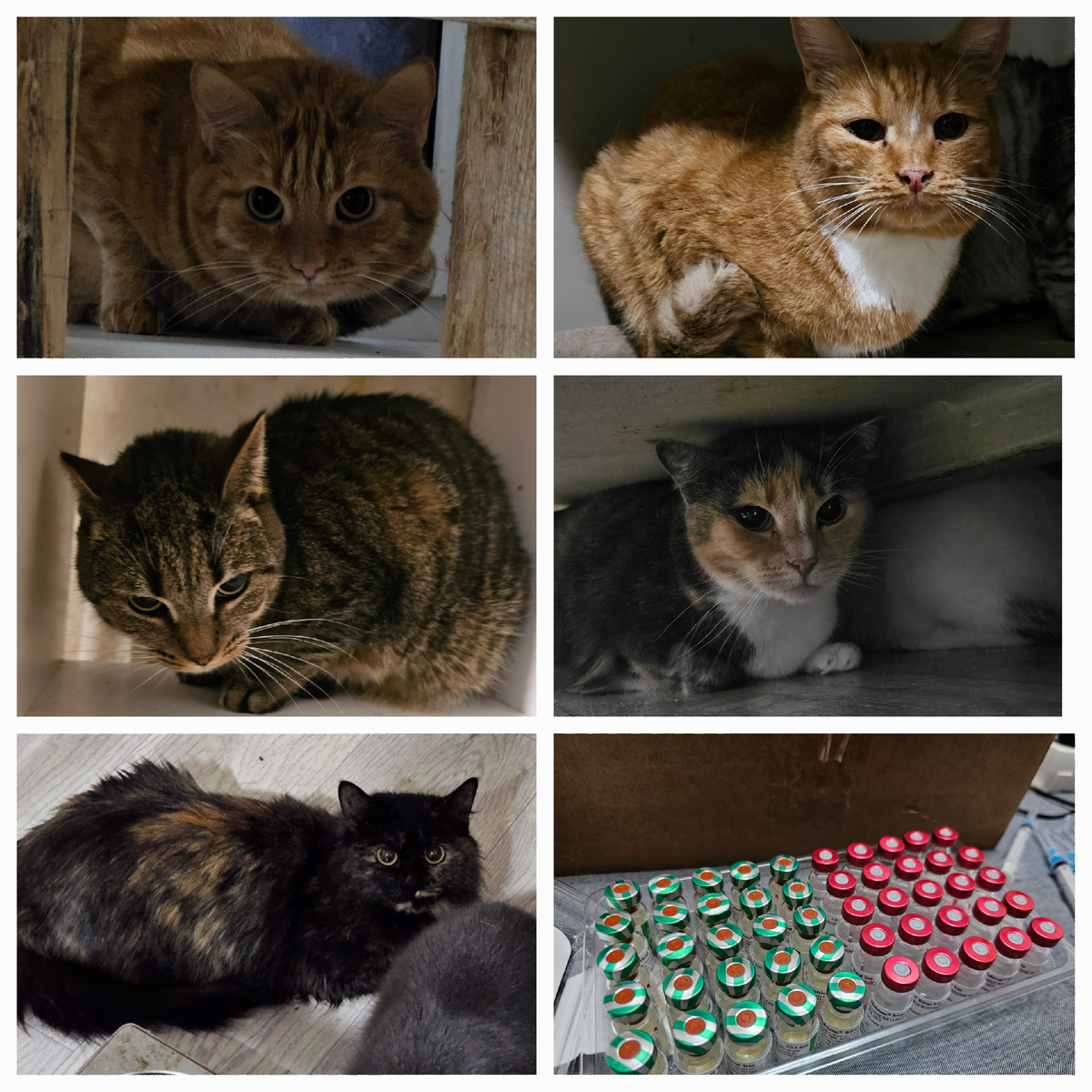 Фото автора. Ребята.