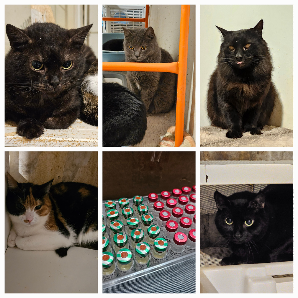 Фото автора. Ребята.