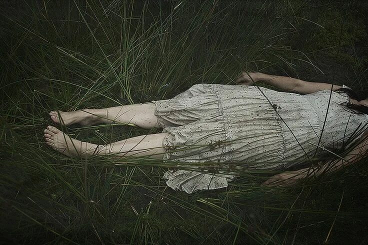 Изображение взято из открытых источников интернета. 