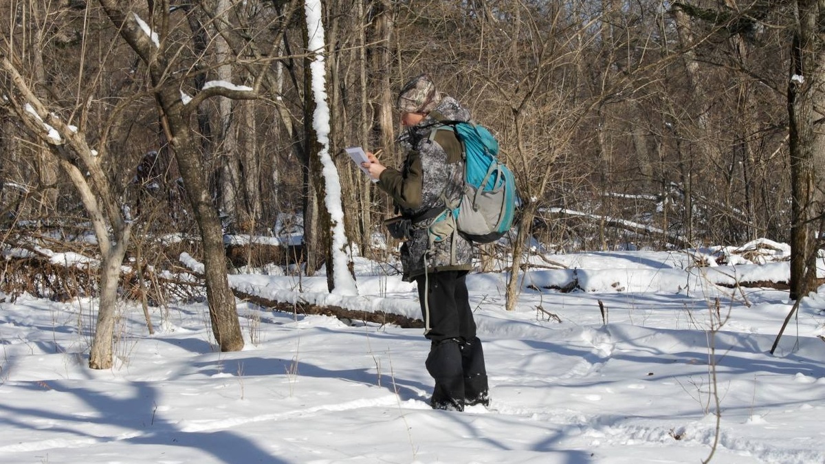     Автор: Егор Сафьянников Источник: @amurleo_land