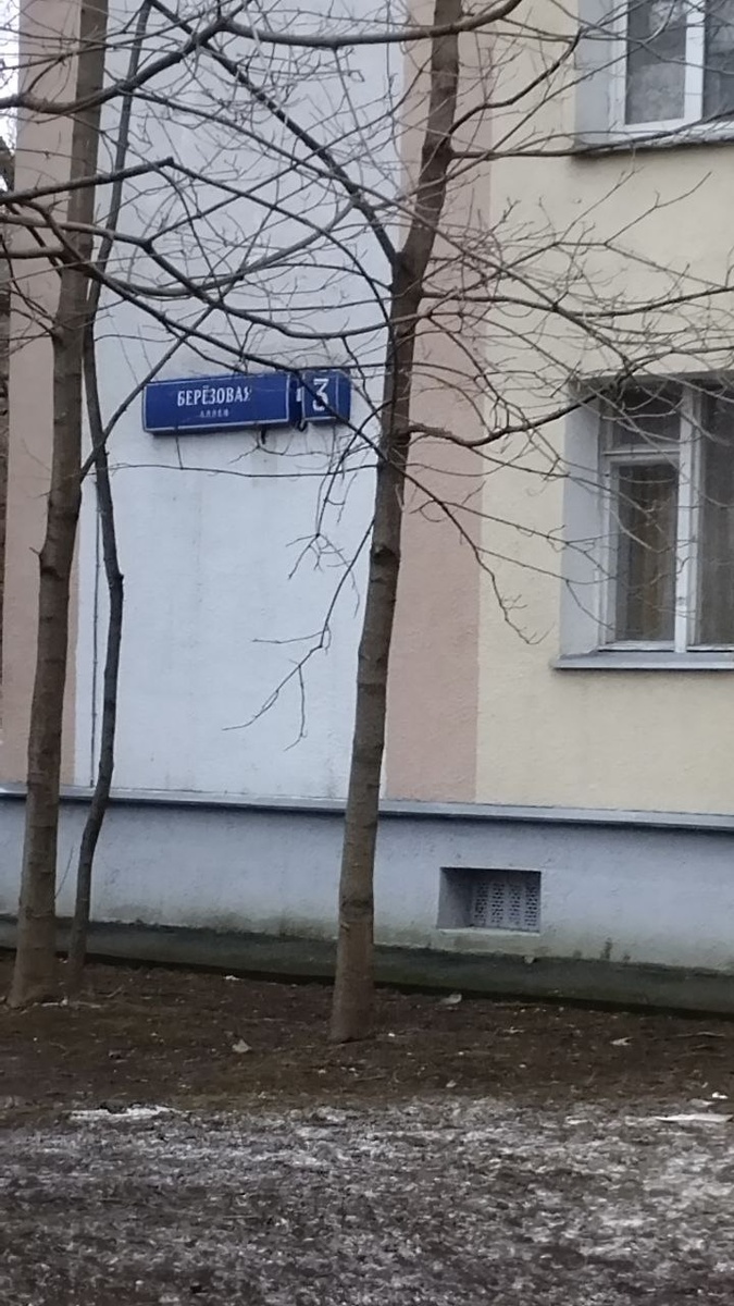 12-этажка на Берёзовой аллее