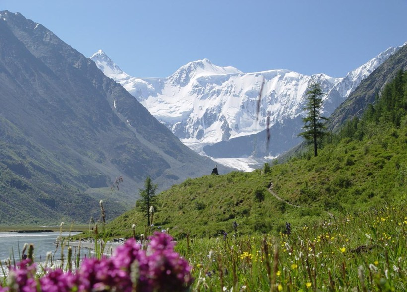 Источник: https://www.altai-guide.ru/