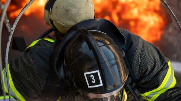    © РИА Новости Крым . Дмитрий Макеев