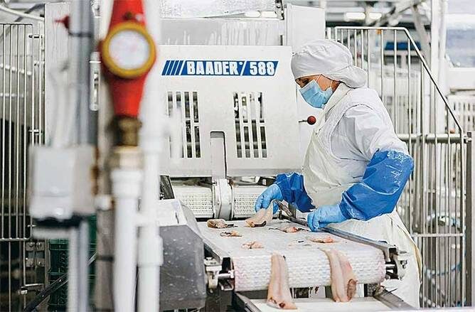    ЮРИЙ СМИТЮК/ТАСС: Рыбопереработчики становятся участниками коллаборации розницы с добытчиками рыбы