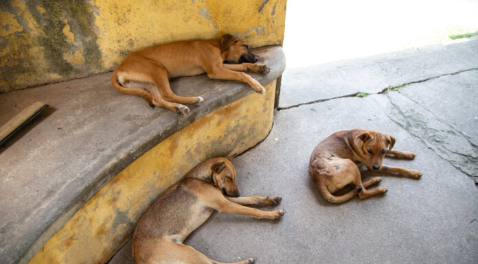   Image by wirestock on Freepik