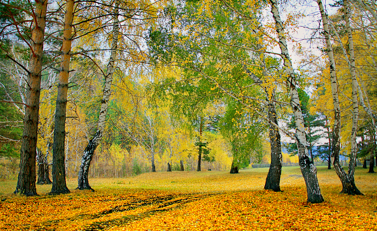Фотография, стихотворение Василия Глуцкого
