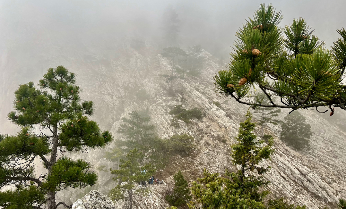 Мне интересно ваше мнение, насколько такие виды могут радовать. Пошли бы или лучше подождать солнечной погоды?