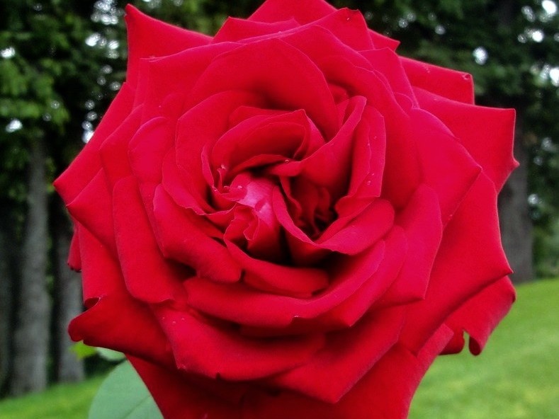 Фото: Владимир Бикмаев