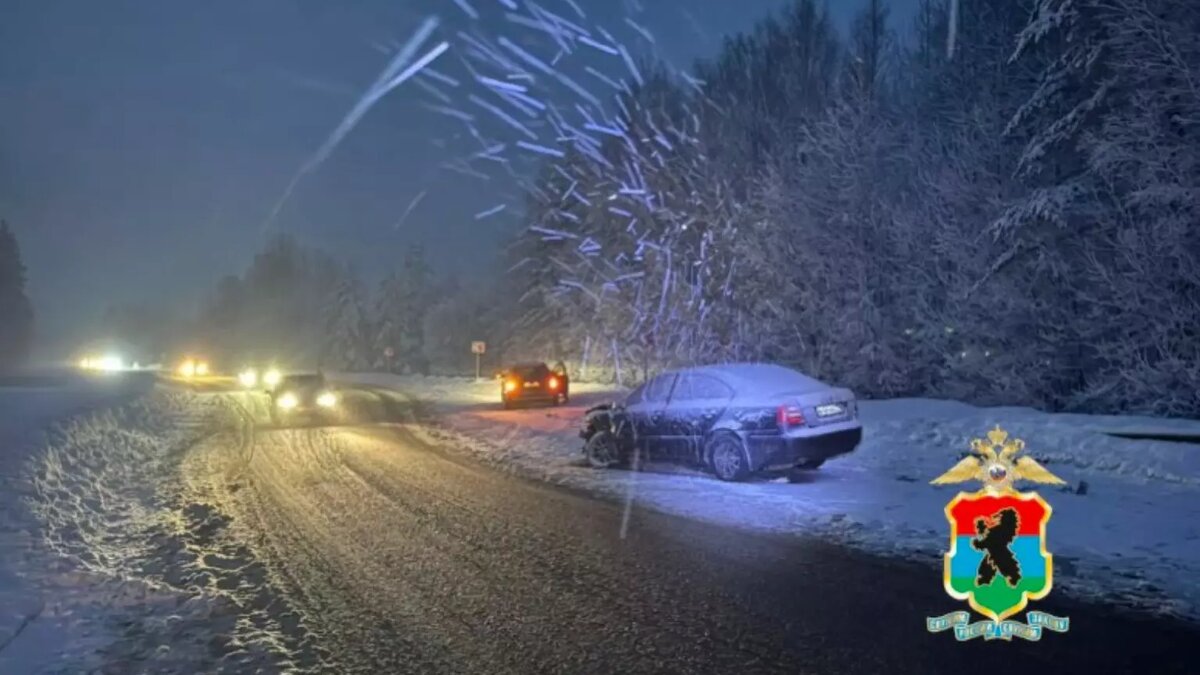     Источник: Полиция Карелии