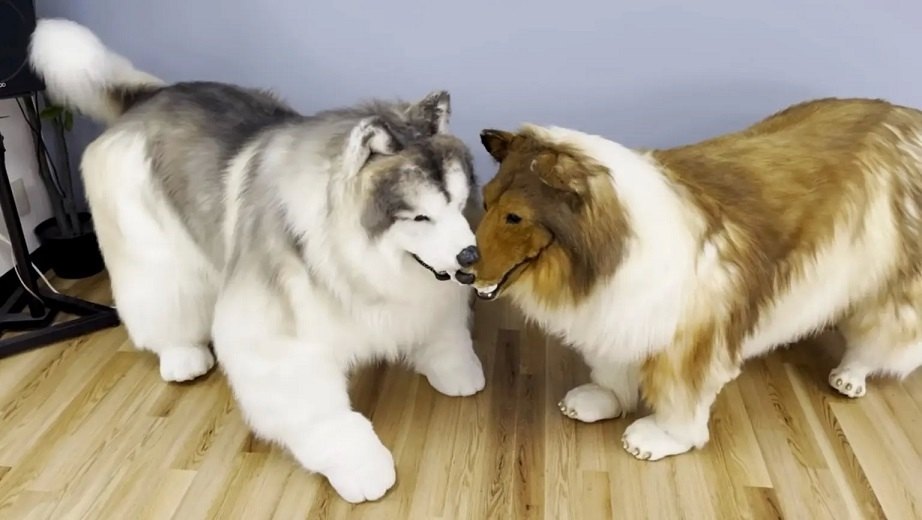    Фото: Tocotoco Zoo