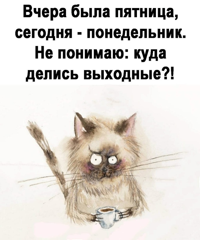 :) я тоже не понимаю