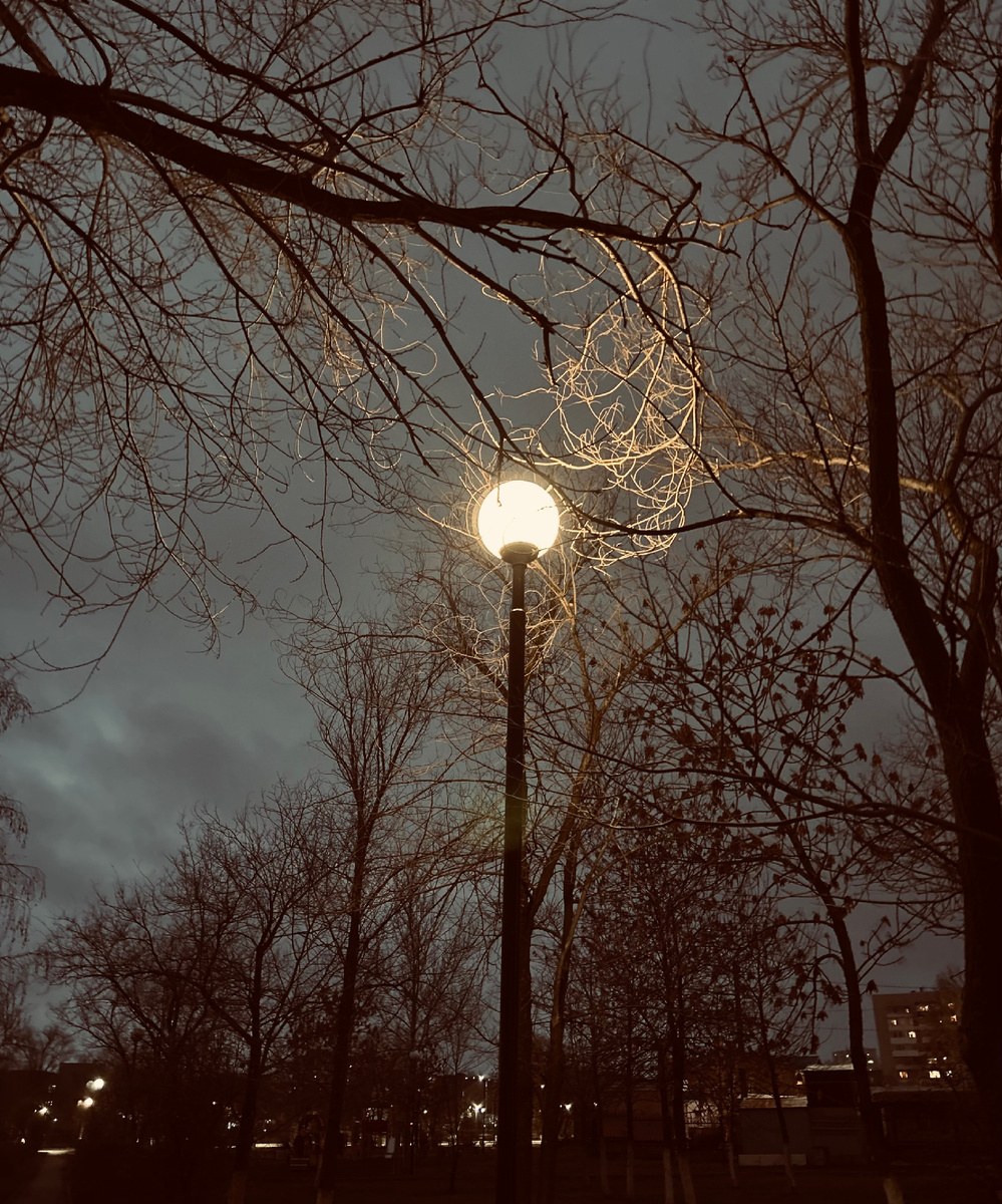 Фотография автора канала.