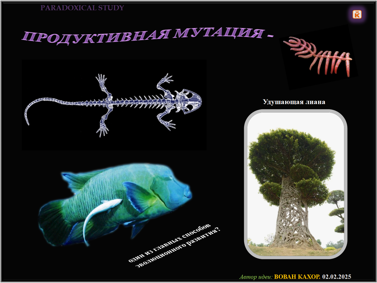 Тема: Микродомены