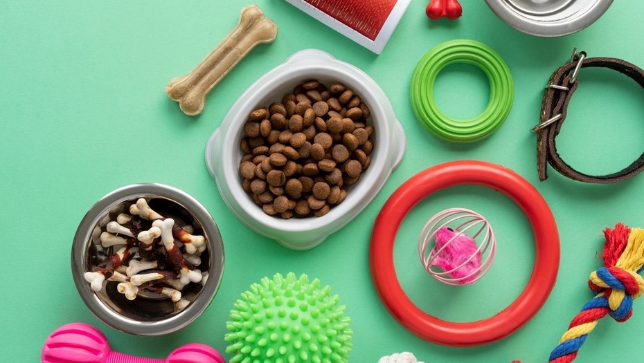    Автор фото: freepik.com