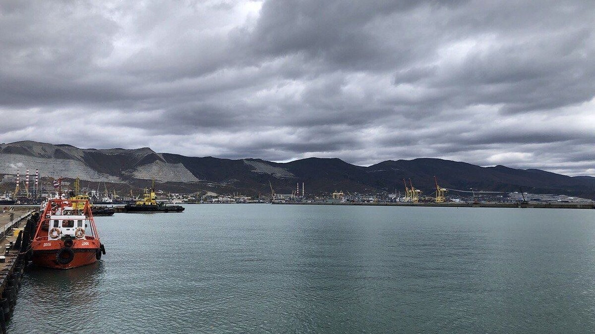    фото: телеканал «Краснодар»