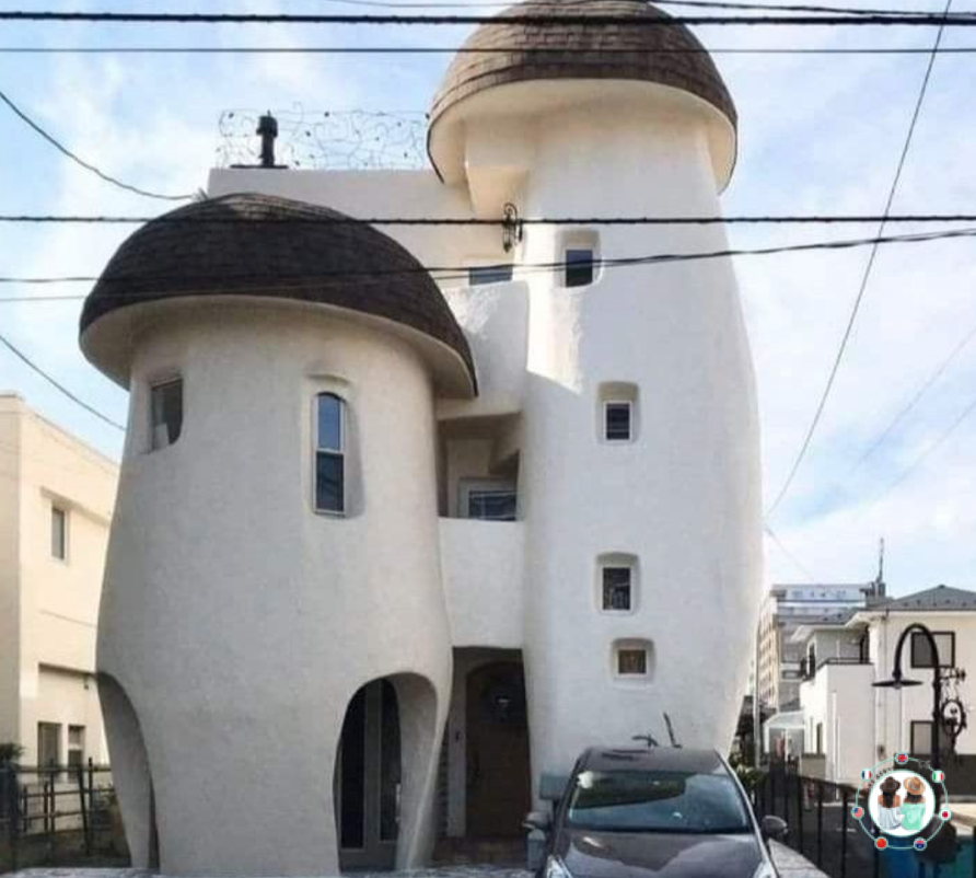 Из просторов инета