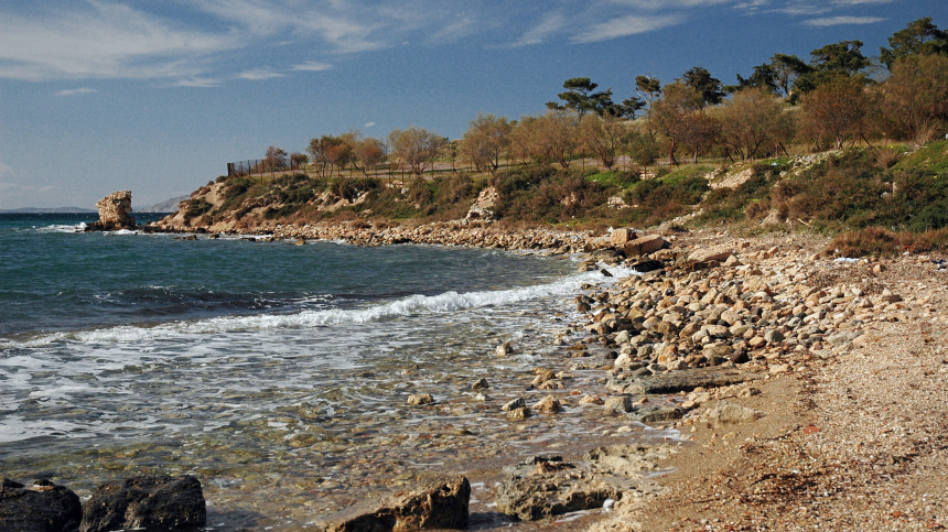    Фото: www.globallookpress.com/Anna Ponomareva