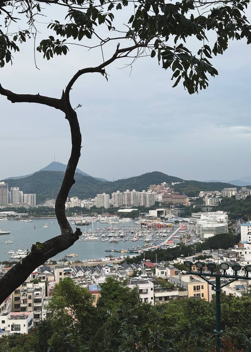 Вид на Санью из парка