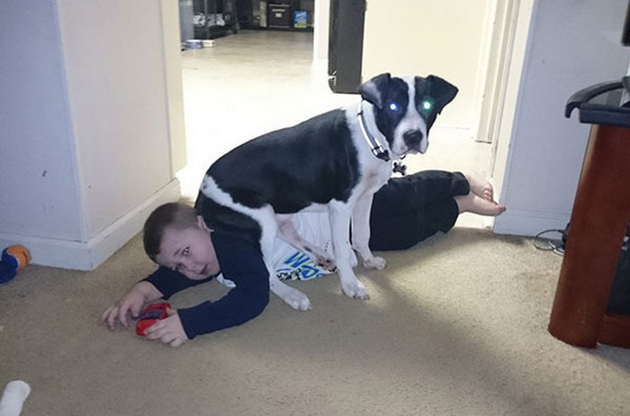 Маленький альфа-самец