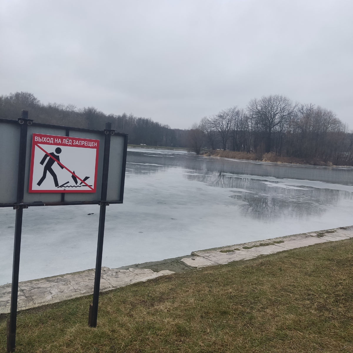 У природы нет плохой погоды, 1 февраля 2025