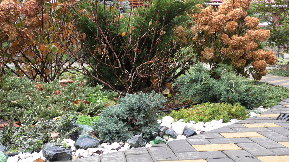 Фото автора канала Дом с кипарисами