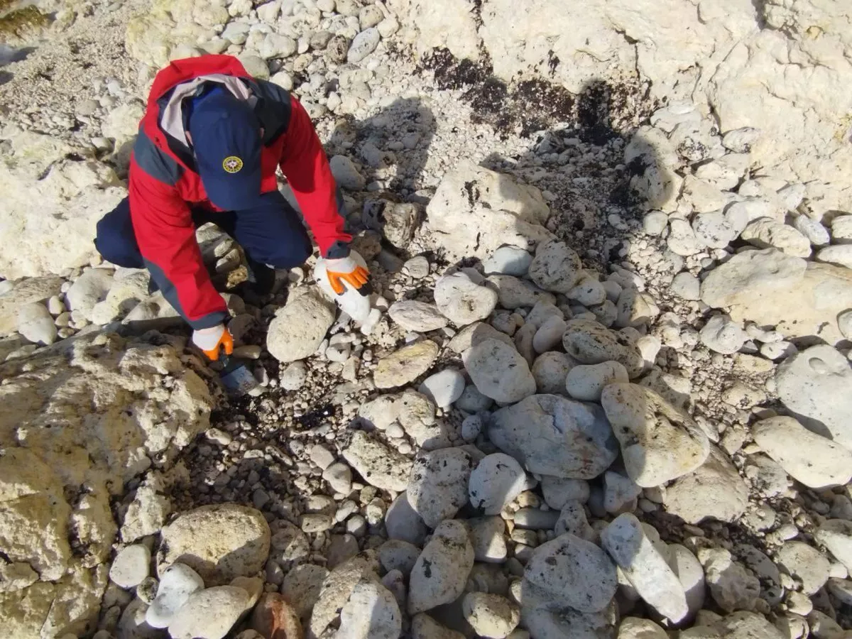 © Telegram Михаил Развожаев