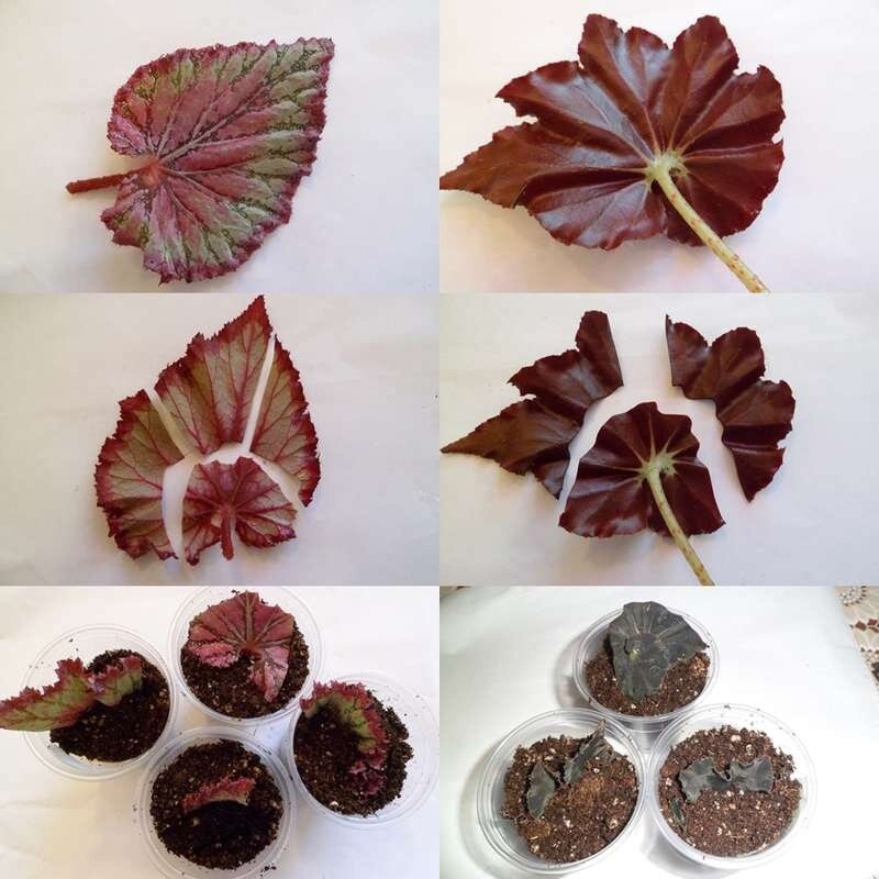 Фото из свободных источников