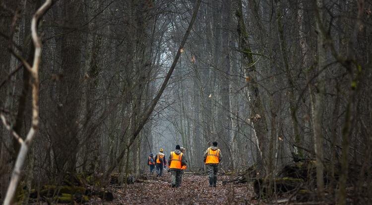 Фото: Алексей Дацковский