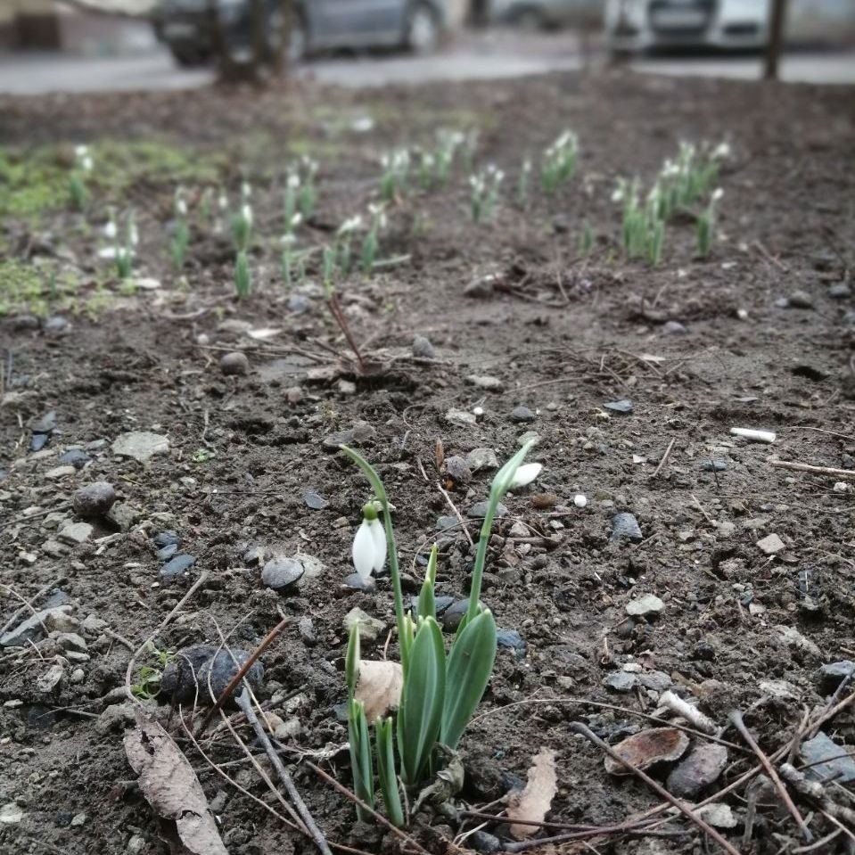 Это у нас 31 января такое. 