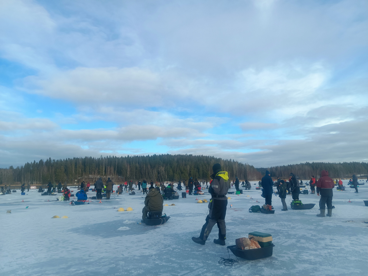 днем в пятницу 31 января