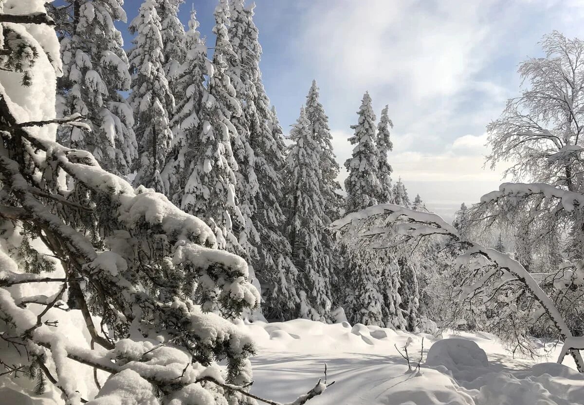 Фото: UfaTime.ru