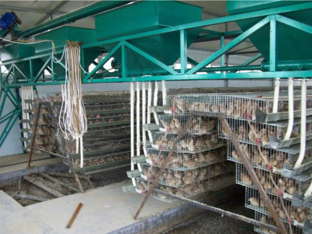 Картинка из интернета 