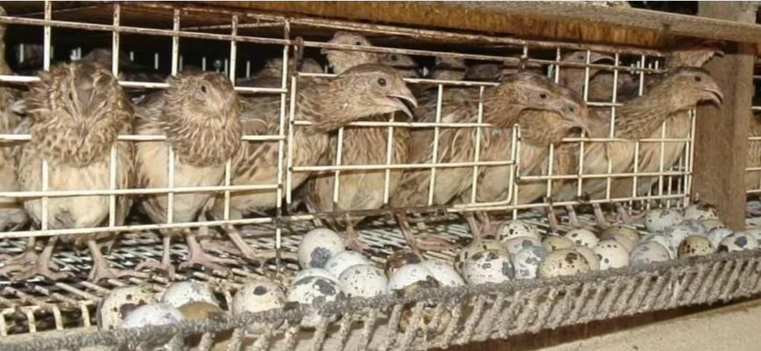 Картинка из интернета 