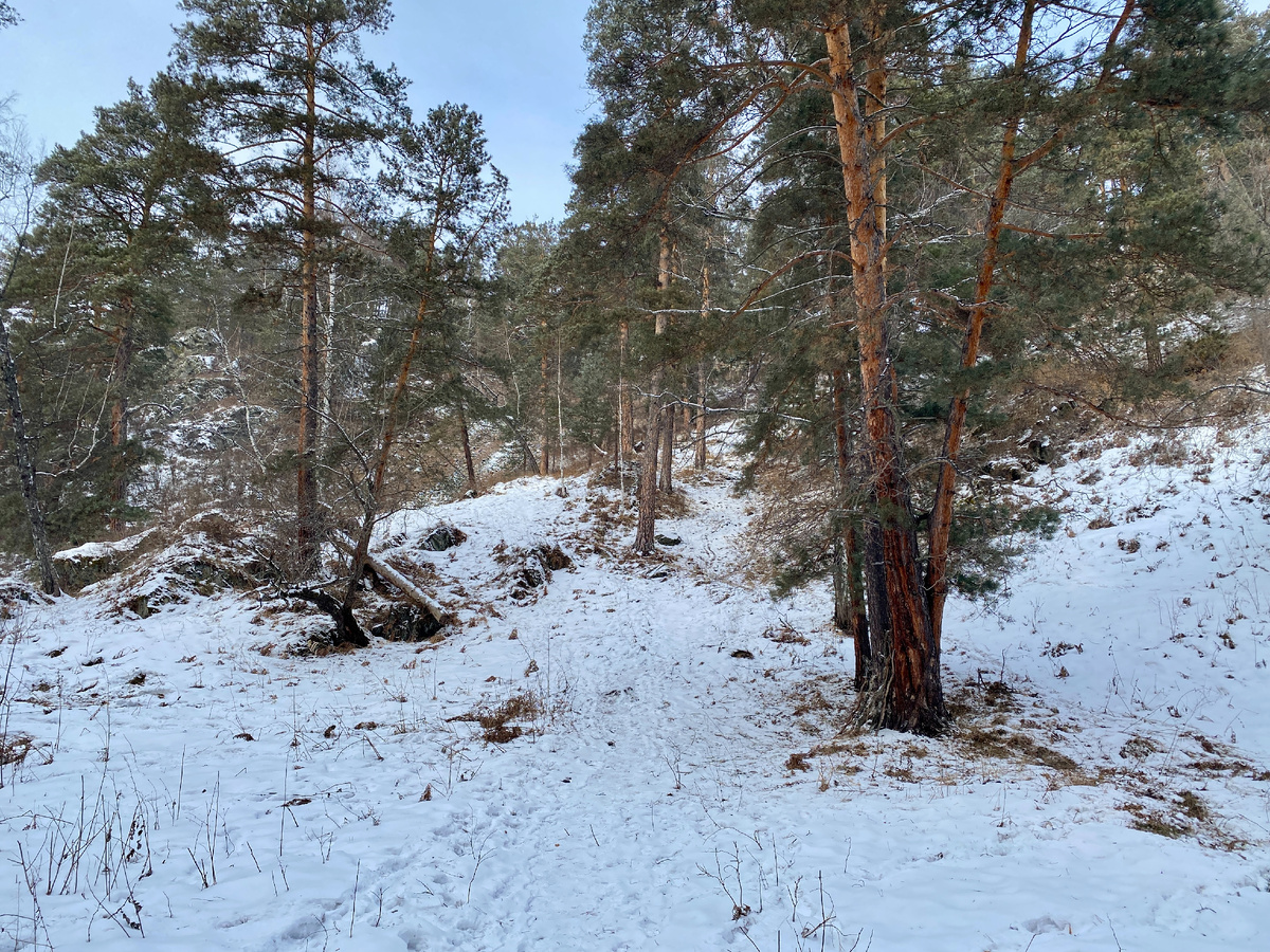 -5