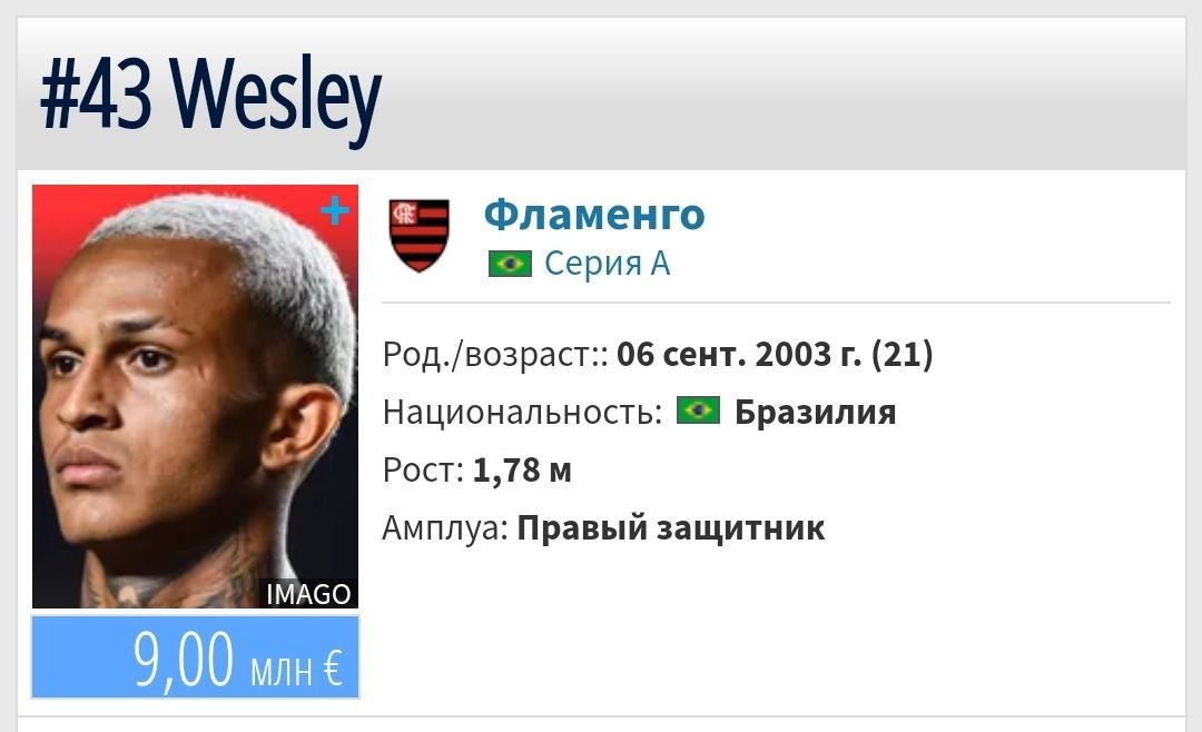 Профиль Уэсли