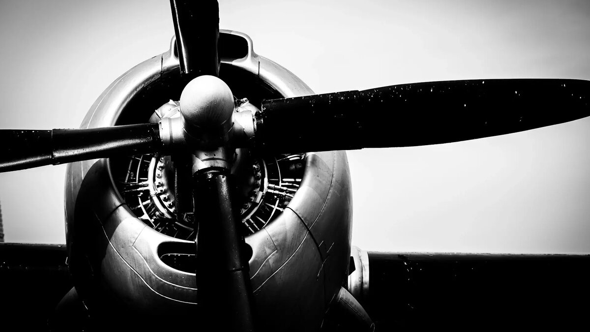     Автор: Unsplash