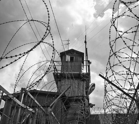 Фото из интернета в свободном доступе 