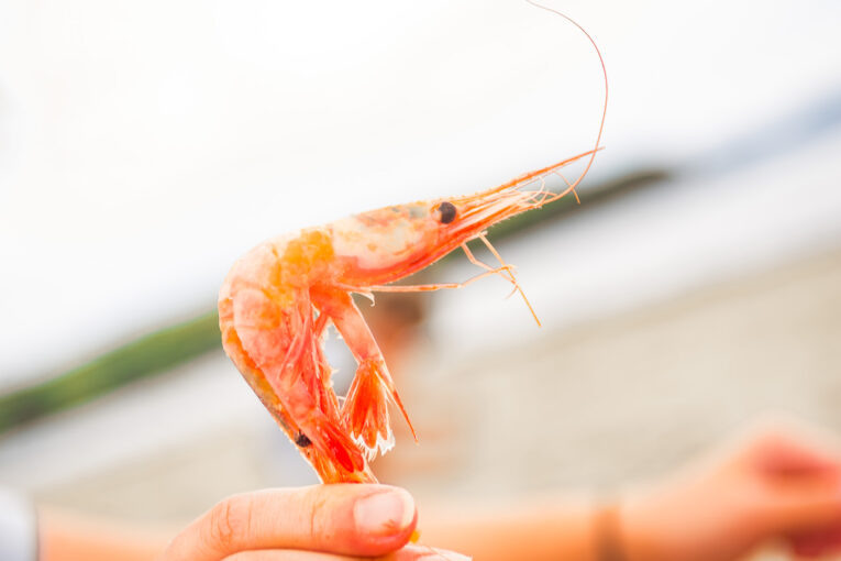 Фото: Ольга Цыкарева