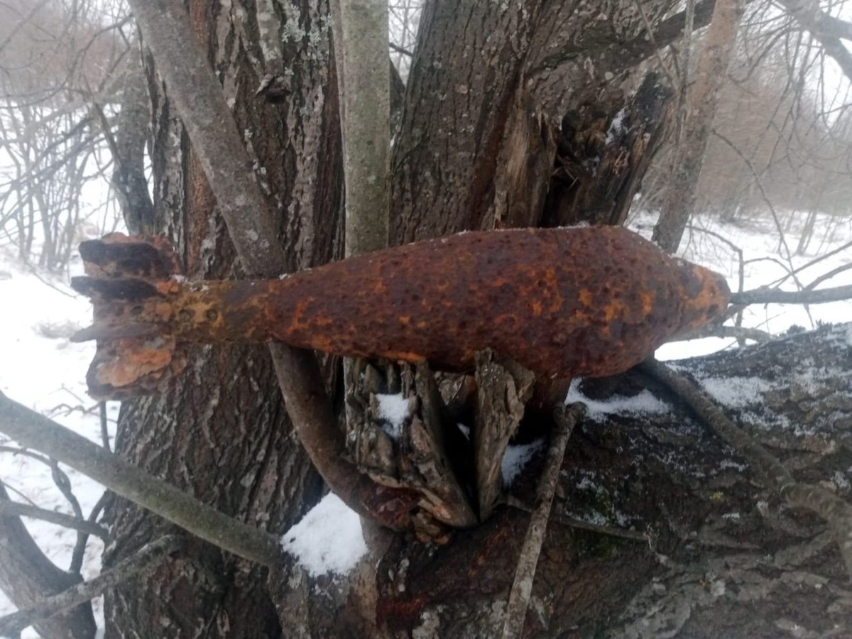    Фото: Администрация Сортавальского района