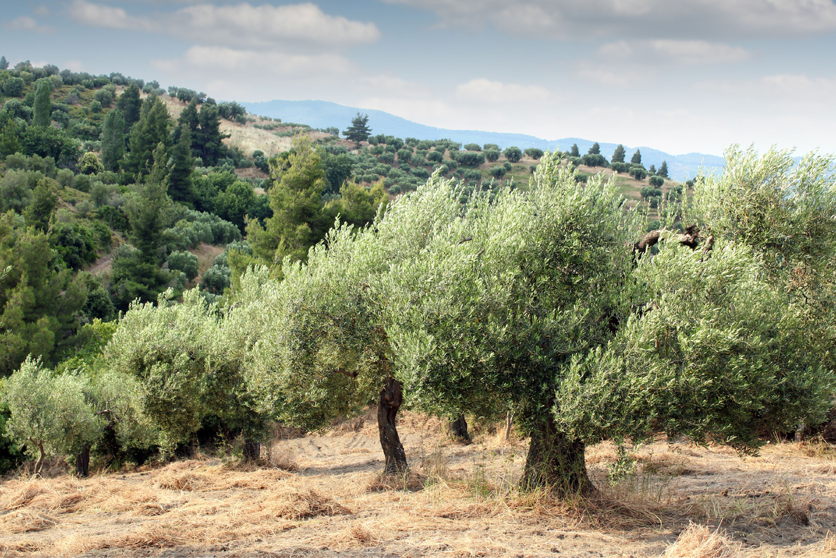 Источник фото: Canva