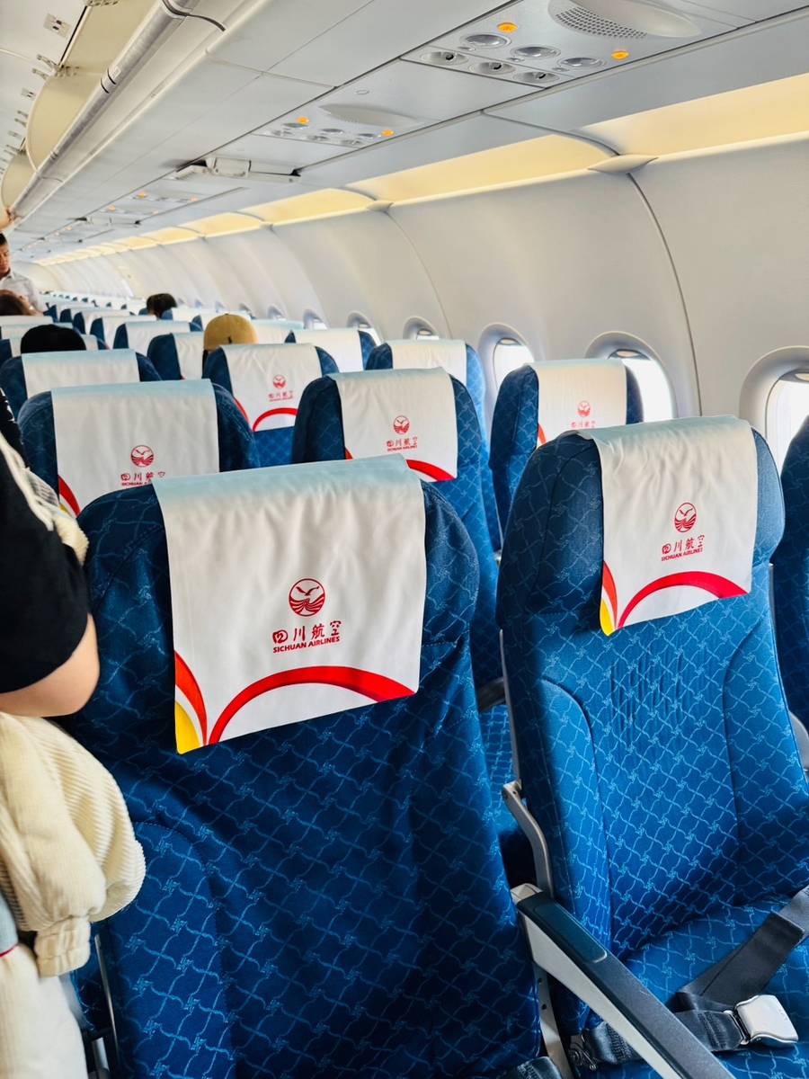 Такой же логотип был у нас и на посадочнх талонах