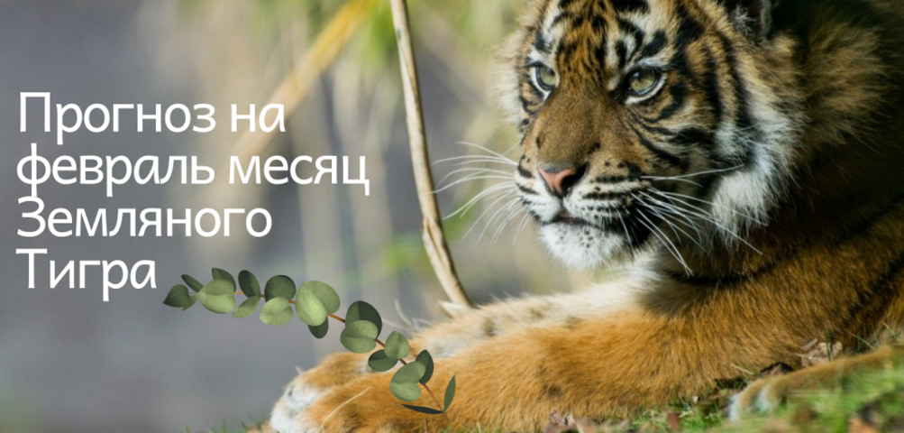 Месяц Земляного Тигра