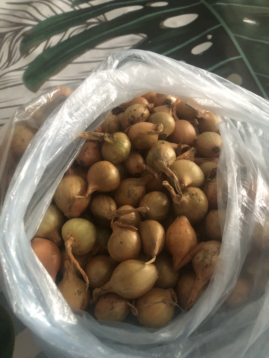 Хороший выборок