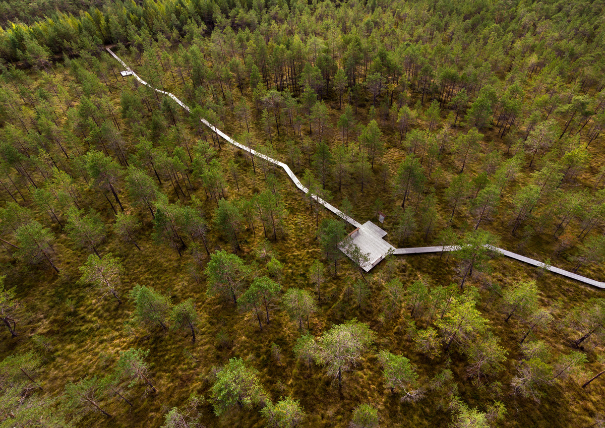 Тропа "Вишенское болото" в Керженском заповеднике. Автор фото Владимир Макаров 
