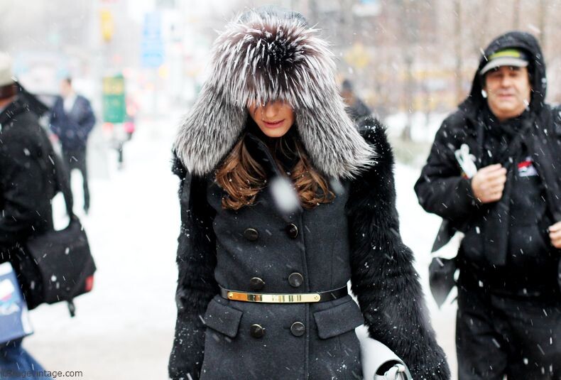 Фото из открытого источника.