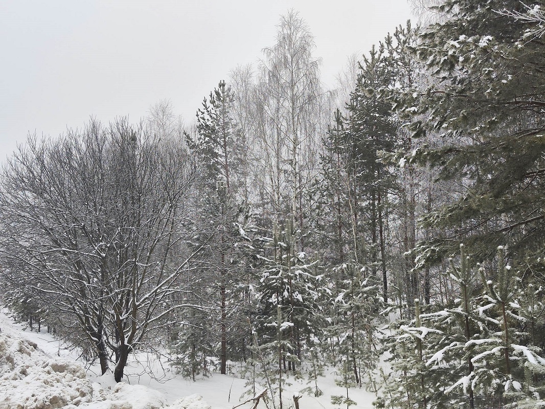 Над Свердловской областью расположен малоподвижный атмосферный фронт, связанный с циклоном Julian.  Фото: ФедералПресс / Ксения Кобалия